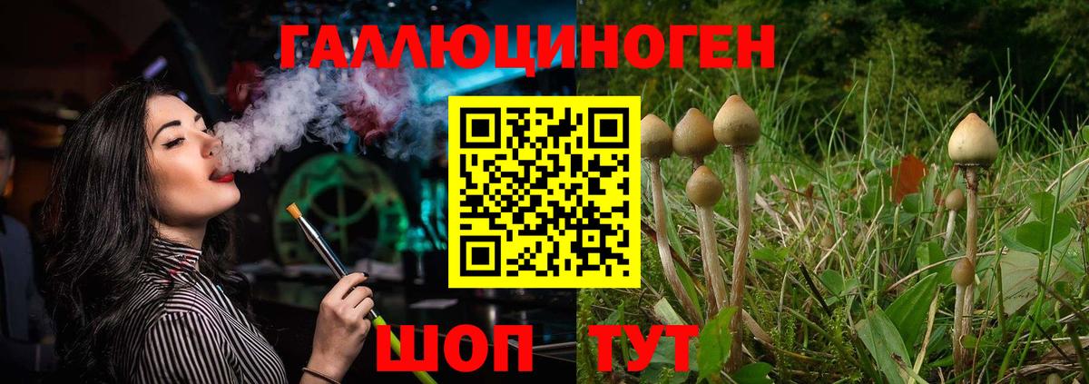 Галлюциногенные грибы MAGIC MUSHROOMS Алапаевск