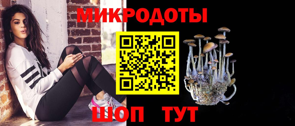 Алапаевск  Псилоцибиновые грибы GOLDEN TEACHER  Вход с VPN  Псилоцибиновые грибы Psilocybine cubensis 