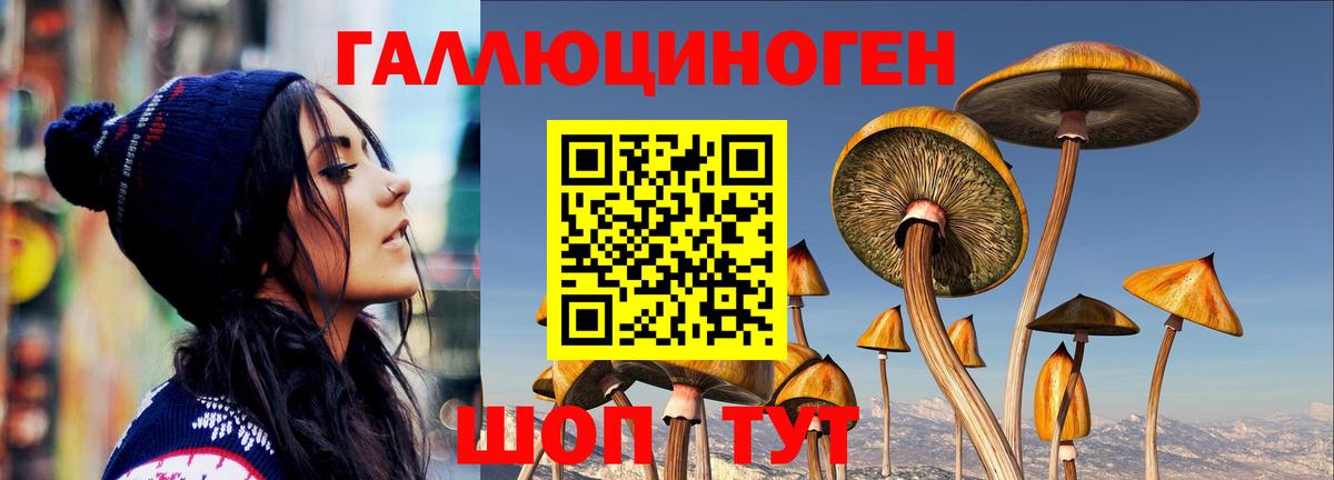 Псилоцибиновые грибы GOLDEN TEACHER Алапаевск